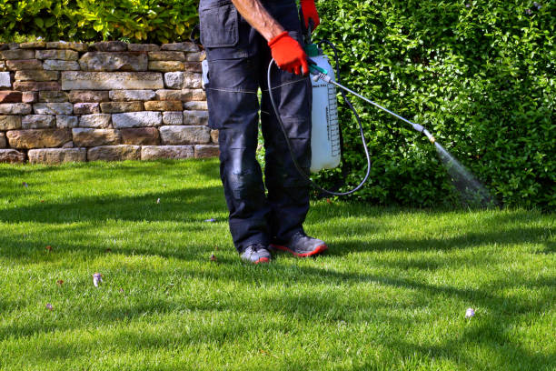 Best Organic or Eco-Friendly Pest Control  in Masury, OH